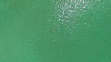 Derin Turkuaz Denizi 'nde Bikini Yüzen Genç Kadın. Havadan Üst Görünüm.