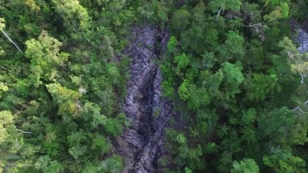 Mountain River a Zöld Erdőben. Légi felvétel — Stock videók