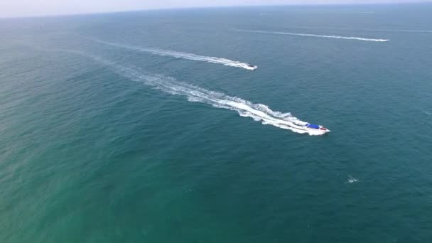 Aérien : Bateaux à voile en mer. 4K 