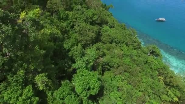 Αεροφωτογραφία του πράσινου τροπικού νησιού που περιβάλλεται από μπλε θάλασσα — Αρχείο Βίντεο