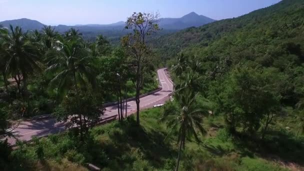 Camino Vacío en la Selva Verde en la Isla Tropical. Antena . — Vídeos de Stock