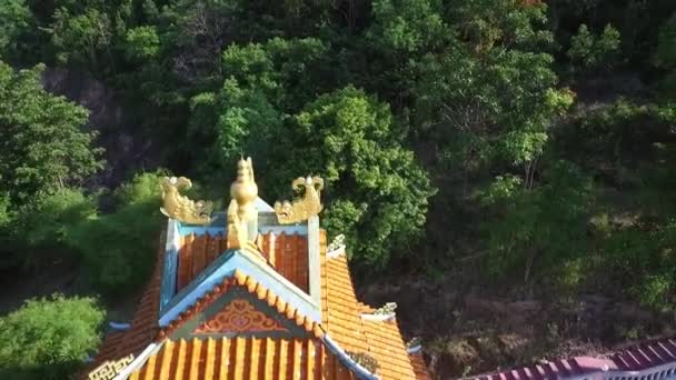 Çin 'in Yeşil Ormandaki Guanyin Tapınağı' nın Havadan Görünümü — Stok video