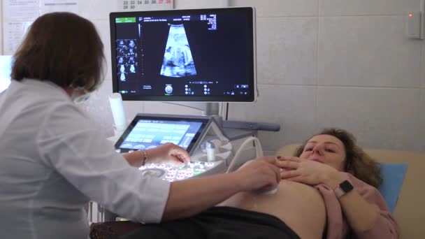 Échographie. Femme enceinte ayant une échographie . — Video