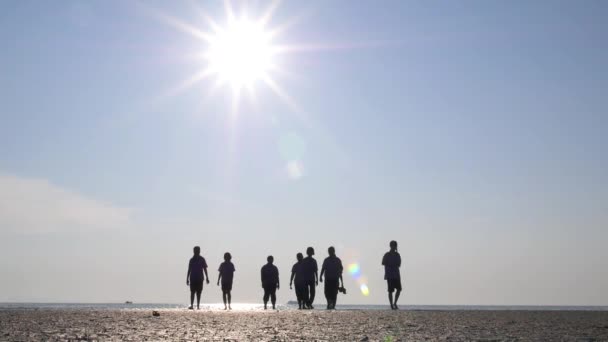 Silhuetas crianças andando na praia ao pôr do sol — Vídeo de Stock
