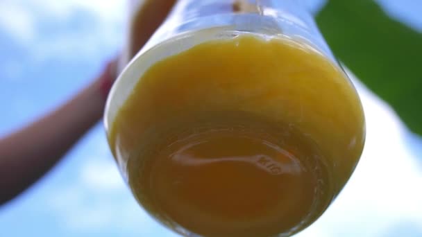 Verser du jus d'orange frais dans un bocal — Video