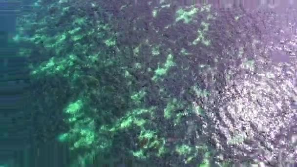 Tropik Deniz Suyu 'nun Hava Çekimi. 4k. — Stok video