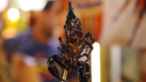 Escorpião exótico frito em pauzinho. Fechar. . — Vídeo de Stock