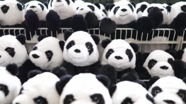 Panda oyuncakçıdaki rafta sergileniyor. Yakın çekim..