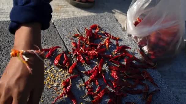 Sun Dried Thai Chili Pepper Closeup — Stock Video
