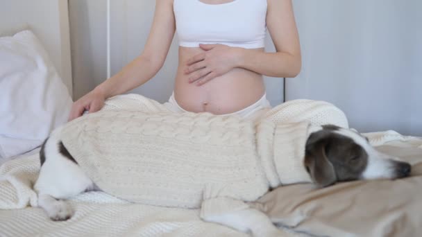 Mujer embarazada con su perro en casa — Vídeos de Stock