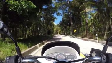 Tropikal Yol 'da Palmiye Ağaçlı Motosiklet Sürücüsü