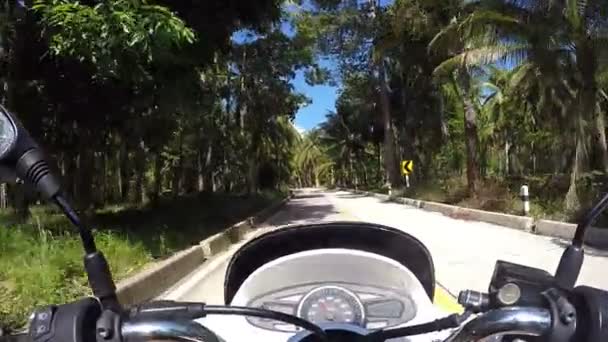 Conductor que monta la motocicleta en la carretera tropical con palmeras — Vídeos de Stock