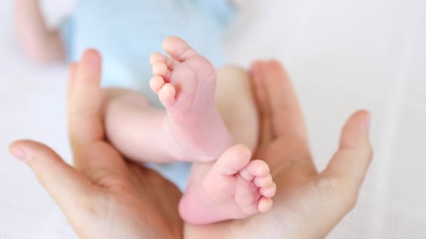 Pasgeboren baby voeten in moeders handen. Sluitingsdatum. — Stockvideo