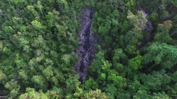 Légi kilátás Mountain River dzsungel — Stock videók