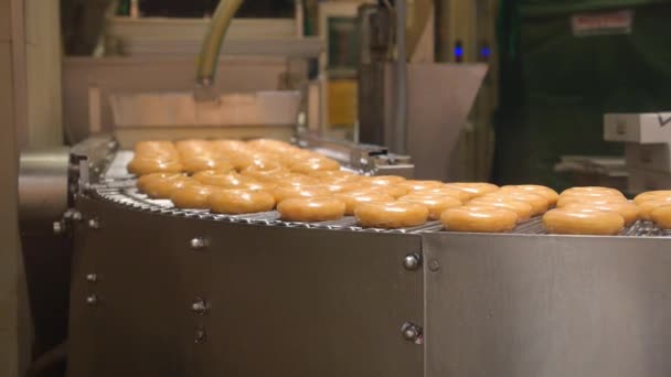 Donuts na correia transportadora na fábrica — Vídeo de Stock