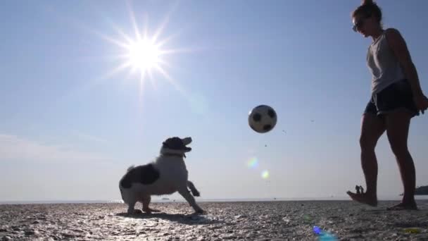 Mujer jugando con perro con bola en la playa — Vídeos de Stock