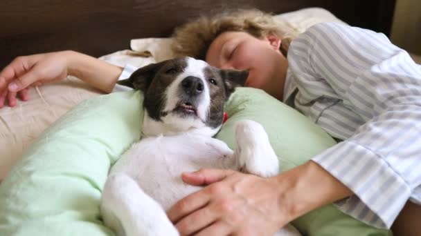 Mujer en pijama durmiendo con divertido perro en cama . — Vídeo de stock