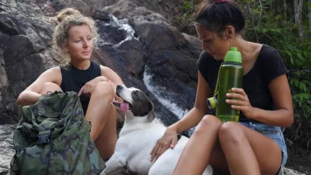 Meisjes vrienden rusten samen met hond bij waterval na wandelen — Stockvideo