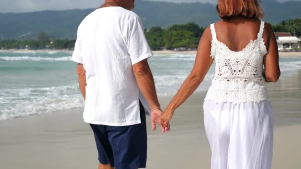 Feliz pareja de ancianos tomados de la mano en la playa tropical — Vídeo de stock