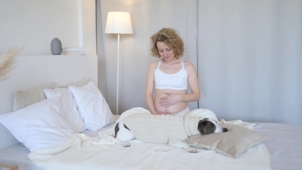 Młoda kobieta w ciąży w łóżku z psem w domu — Wideo stockowe