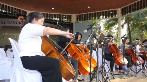 音乐家在音乐会的管弦乐队舞台上表演. 2017年4月11日，曼谷. — 图库视频影像