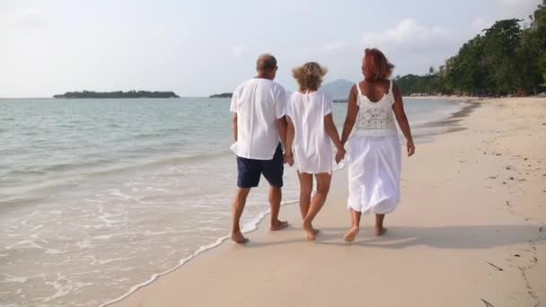 Счастливая семейная прогулка по пляжу в праздничные дни — стоковое видео