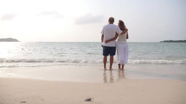 Couple d'âge moyen étreignant sur la plage en vacances — Video