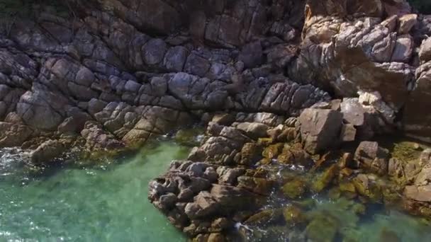 Rocky Shore of Island. Aerial. — Stock Video