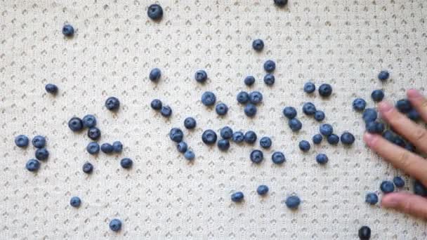 건강 한 식품 개념. Woman Hand Writing A Word Cooking From Blueberries. — 비디오