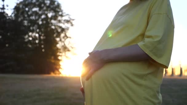 Zwangere vrouw in de natuur bij zonsondergang — Stockvideo