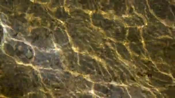 Acqua cristallina del mare tropicale con fondo sabbioso — Video Stock