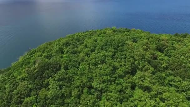 Vista aérea da floresta verde da ilha tropical selvagem — Vídeo de Stock