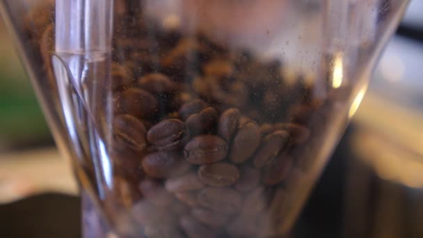 Feijões de café torrados inteiros não moídos Closeup no moedor — Vídeo de Stock