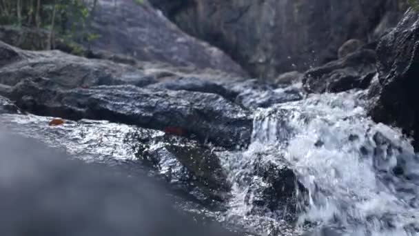 Bäck som flyr från vattenfall i skogen — Stockvideo