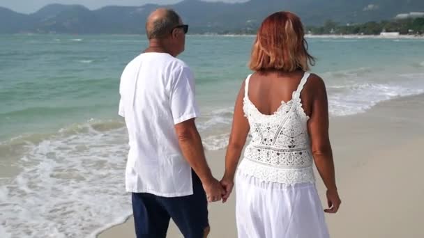 Senior homme et femme couple tenant la main à la plage — Video