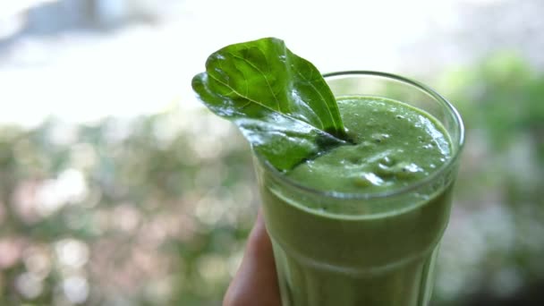 Ispanaklı yeşil smoothie — Stok video