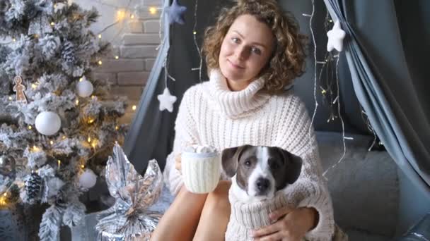 Fiatal nő ünnepli a karácsonyt kutyával kötött pulóverben — Stock videók