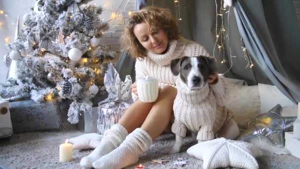 Mladá žena se psem sedí na vánočním stromě v útulné atmosféře. — Stock video