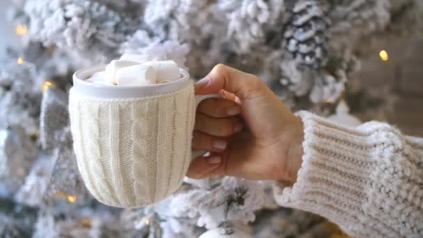 La mano femenina en suéter de punto sostiene el chocolate caliente de Navidad con malvavisco — Vídeos de Stock