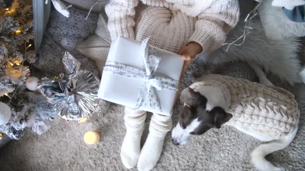 Γυναίκα στην πλεκτή κάλτσες γιορτάζοντας τα Χριστούγεννα με το σκυλί κρατώντας κουτί δώρου — Αρχείο Βίντεο