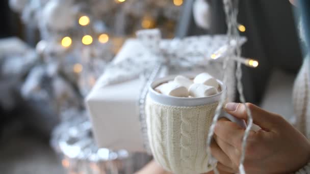 Mão feminina segurando caixa de presente de Natal e xícara de chocolate quente com marshmallow — Vídeo de Stock