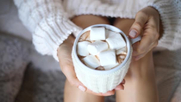 Chocolate quente com marshmallow na mão da mulher usando camisola de malha — Vídeo de Stock