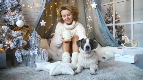 Przytulny zimowy świąteczny pomysł świąteczny. Kobieta i pies relaks w domu. — Wideo stockowe