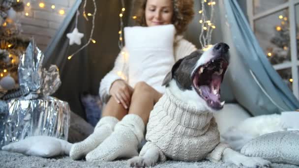 Молодая женщина и собака отдыхают дома на Рождество . — стоковое видео