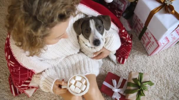 Frau und Hund in kuscheliger Strickkleidung feiern Weihnachten zu Hause. — Stockvideo