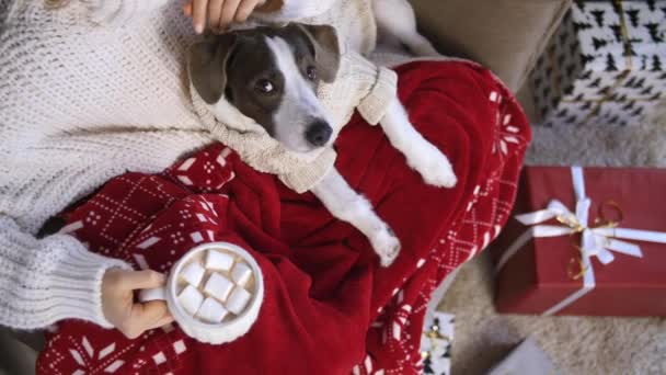 Cozy Χριστούγεννα έννοια διακοπών. Κορίτσι και ο σκύλος της χαλαρώνουν στο σπίτι με δώρα και κακάο. — Αρχείο Βίντεο