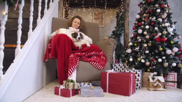 Unga kvinna firar jul med hund hemma. Juldekorationer. — Stockvideo