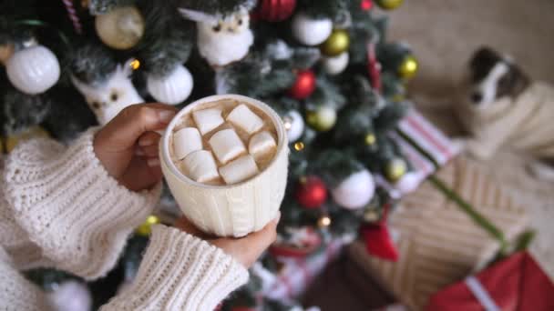 Κοντινό πλάνο Κύπελλο της ζεστής σοκολάτας με Marshmellow σε φόντο χριστουγεννιάτικο δέντρο — Αρχείο Βίντεο
