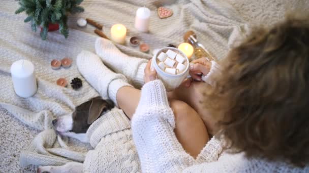 Female In Knit Sweater And Socks Holding Hot Cacao Cup At Home — Stock Video