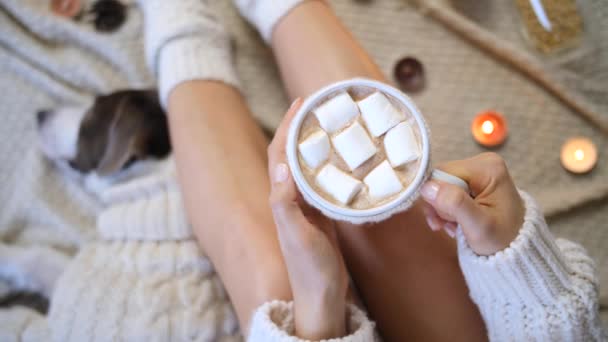 Руки женщины держат чашку горячего шоколада с зефиром дома . — стоковое видео